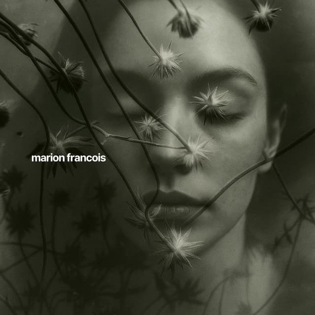 Carte Astrale, Guide d’Âme - Marion Francois