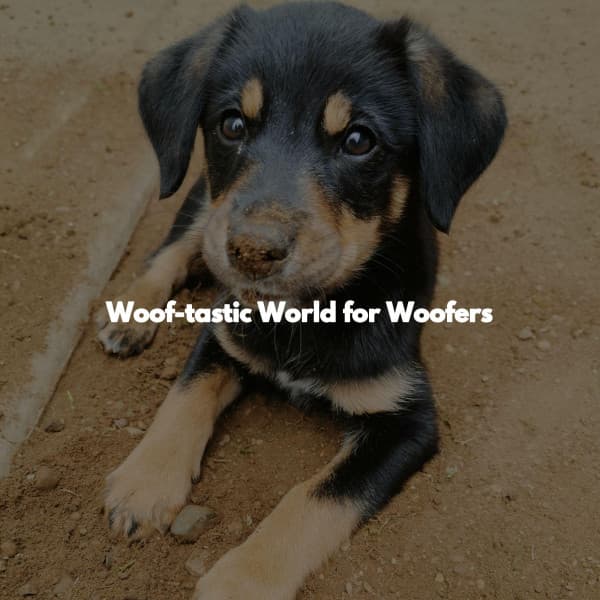Woof-tastic World for Woofers - Good Morning Jazz