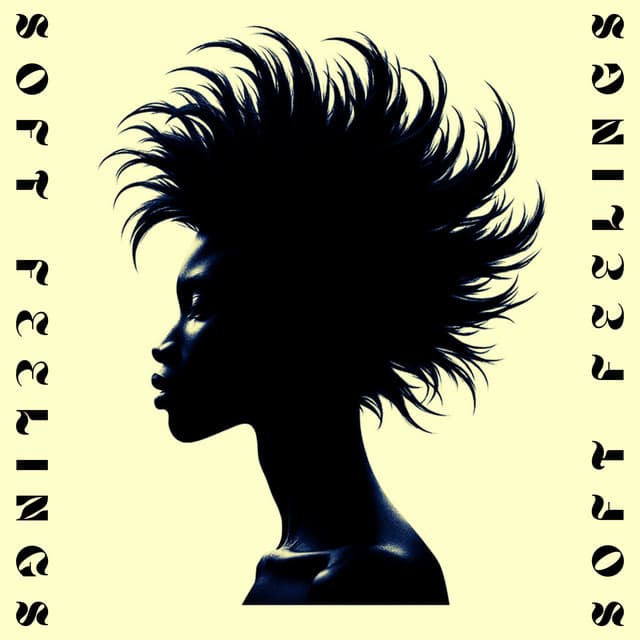 Soft Feelings: Afro-Sonic Reverberations - New Traditions Crew