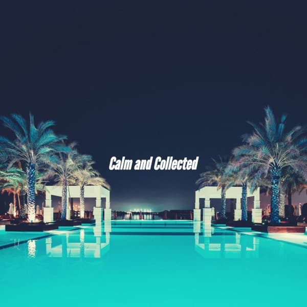 Calm and Collected - Sleepy Night Music