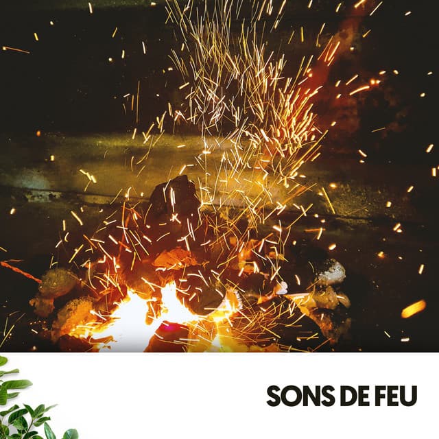 Sons de Feu : Une Explosion Musicale d'Émotions - Relajacion