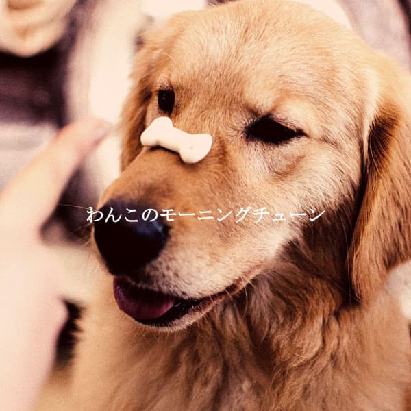 わんこのモーニングチューン - Soft Jazz Background Music