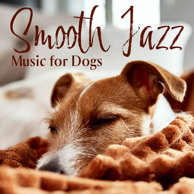 Calming Jazz Relax Academy