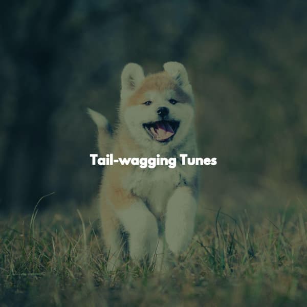 Tail-wagging Tunes - Music for Cooking