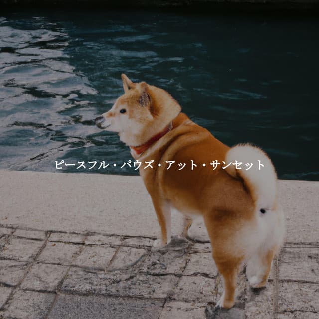 ピースフル・パウズ・アット・サンセット - Restaurant Jazz Music Universe