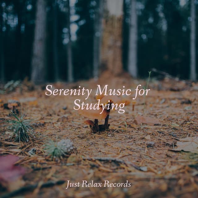 Serenity Music for Studying - Powerthoughts Meditation Club
