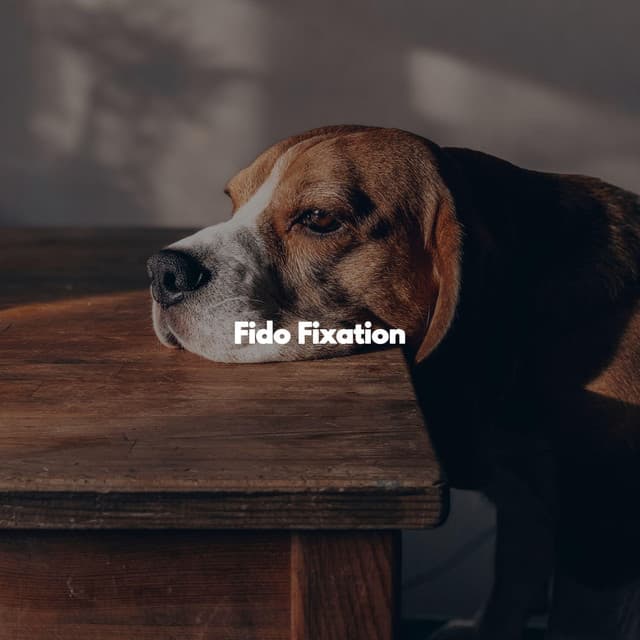 Fido Fixation - Late Night Jazz Bar