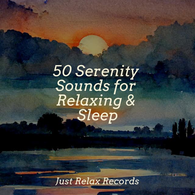 50 Serenity Sounds for Relaxing & Sleep - Anxiety Relief