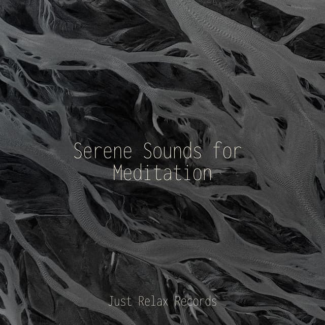 Serene Sounds for Meditation - Reiki Music