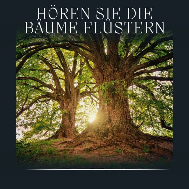 Hören Sie die Bäume Flüstern - Waldgeräusche