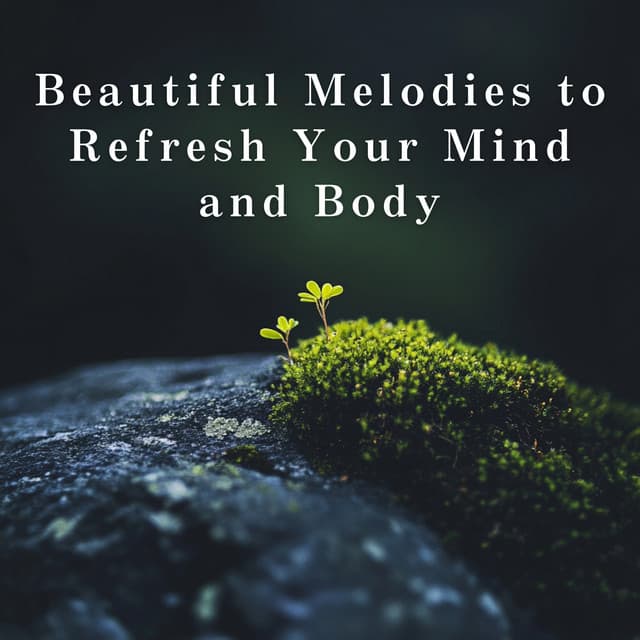 Beautiful Melodies to Refresh Your Mind and Body - Relaxing BGM Project