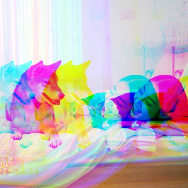 Music for Meditative Pooches - Calming for Dogs