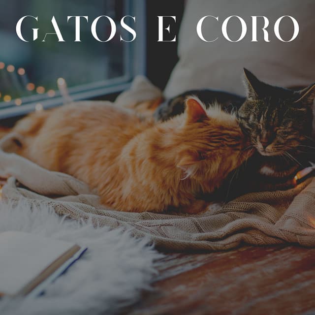 Gatos e Coro - Musica para Gatos