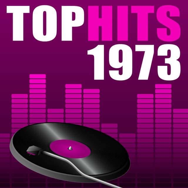 Top Hits 1973 - The Seventies