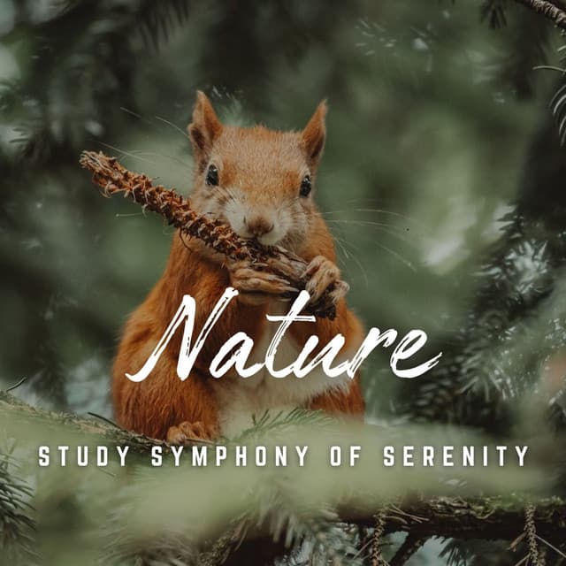 Study in Serenity: Natural Soundscapes - Study with Us