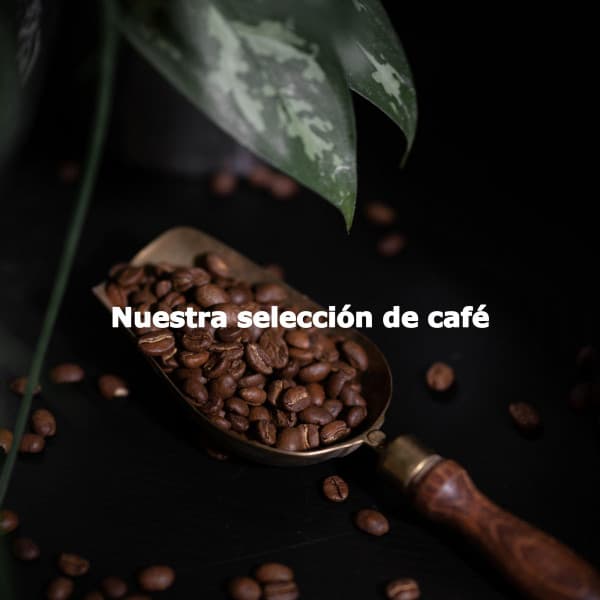 Nuestra selección de café - Cafe Jazz Duo