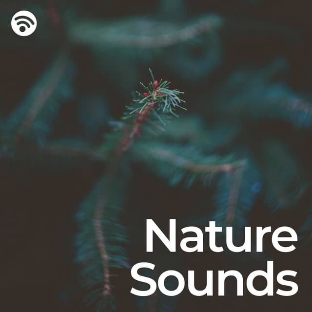 Nature Sounds: Pure Relaxation - Naturaleza Exige
