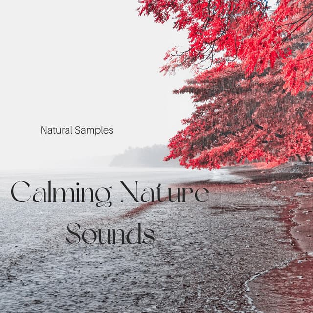 Calming Nature Sounds - Natural Samples