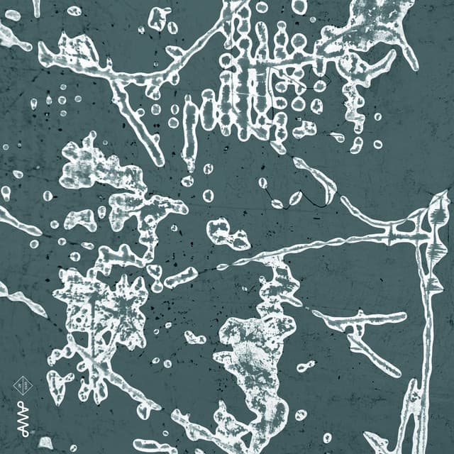 Our Groove Your Move - Jacob Roved