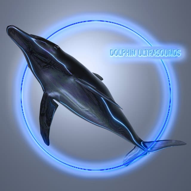 Dolphin Ultrasounds - Scoty Hukbey