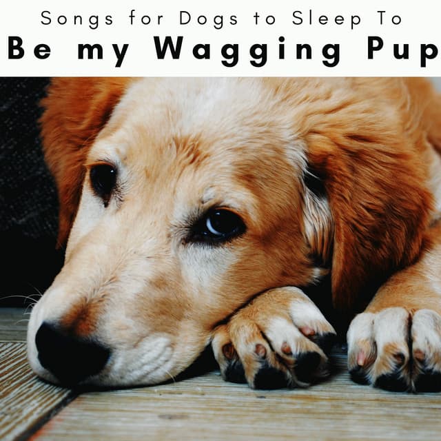 4 Paws: Be my Wagging Pup - Songs for Dogs to Sleep To