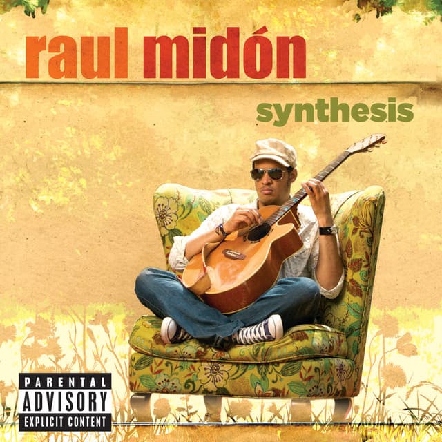 Synthesis - Raul Midón