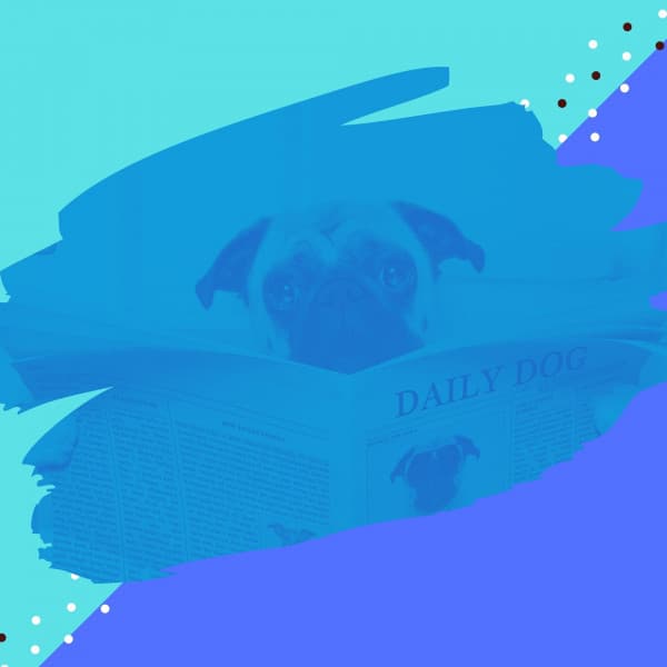 Music for Doggy Mental Health - Trumpet Jazz - Dog Jazz Music