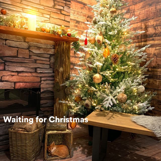 Waiting for Christmas - Christmas 2022