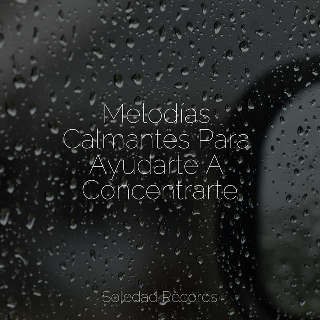 Melodías Calmantes Para Ayudarte A Concentrarte - Musica Relajante