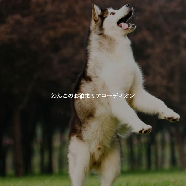 Cooking Background Music