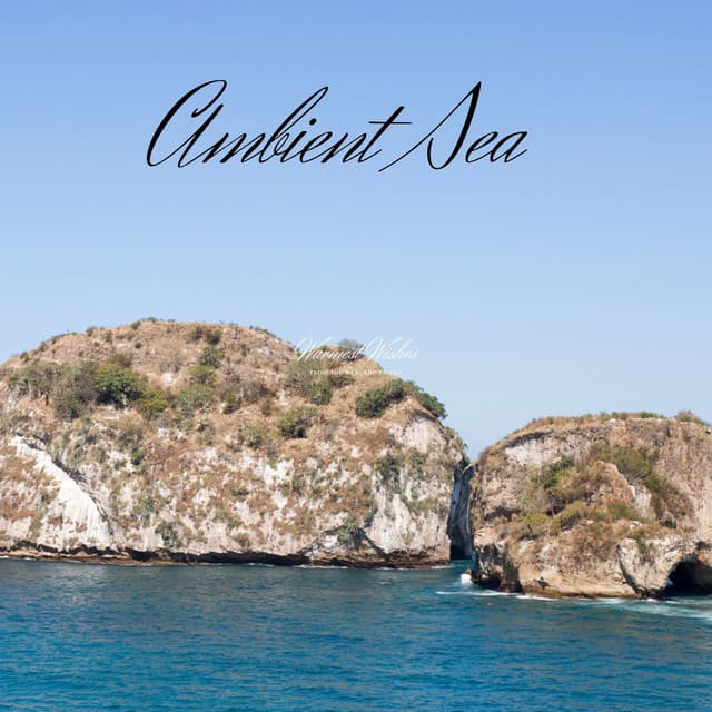 Ambient Sea - Rain Hard