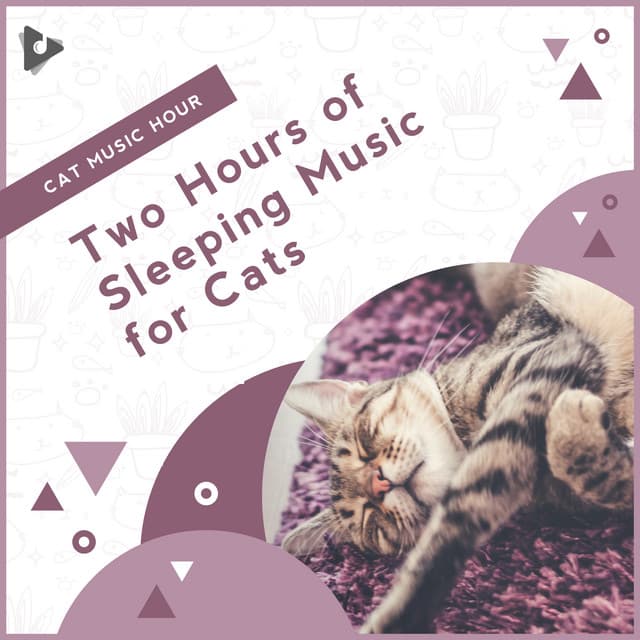 2 Hours of Sleeping Music for Cats - Cat Music Hour