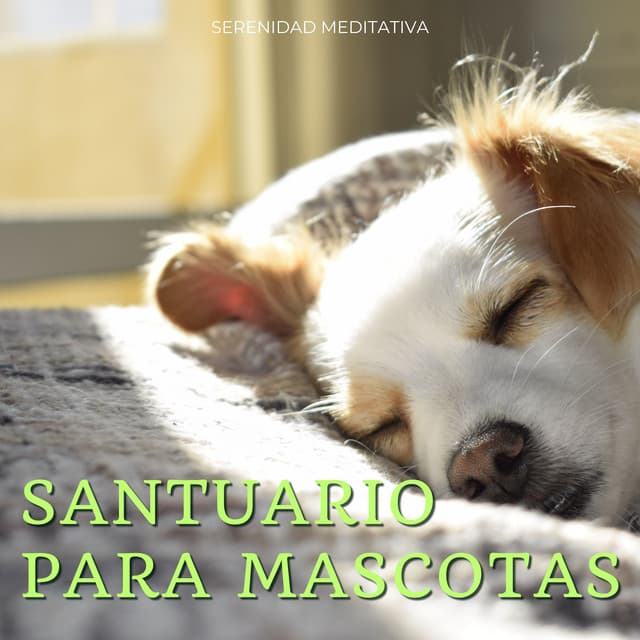 Santuario Para Mascotas: Serenidad Meditativa - Sonidos De La Selva