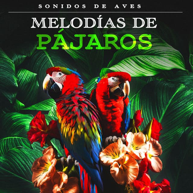 Melodías de Pájaros - Sonidos De Aves