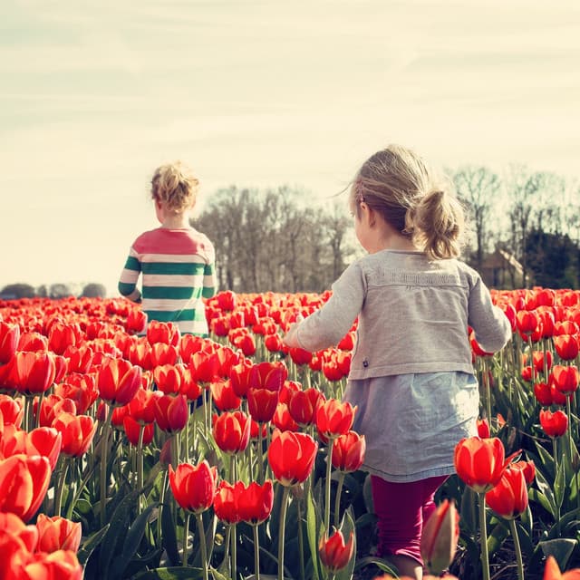 50 Calm & Soft Nature Lullabies - Smart Baby Lullaby