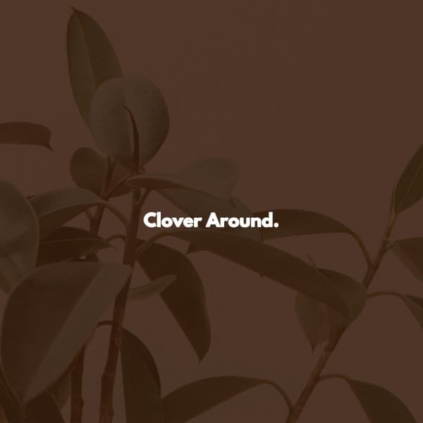 Clover Around. - Music for Stress Relief