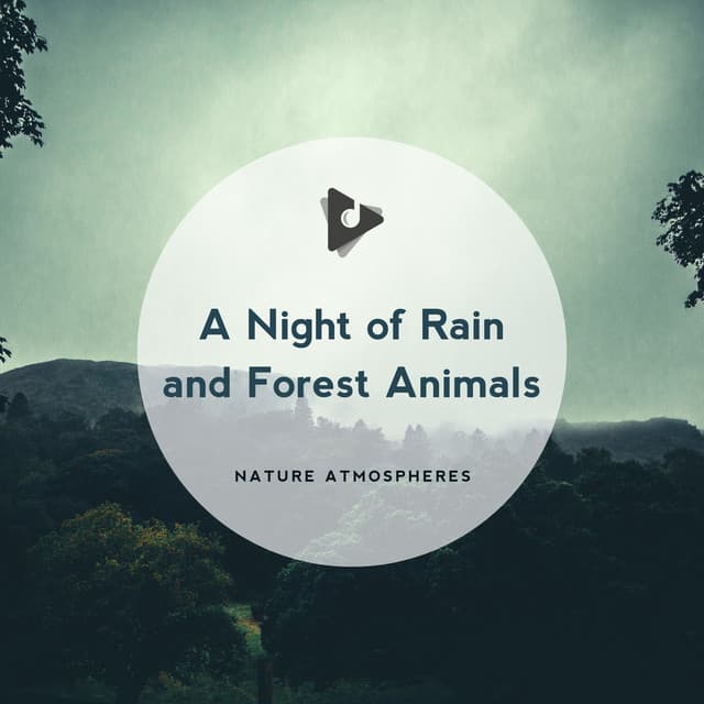 A Night of Rain and Forest Animals - Nature Atmospheres