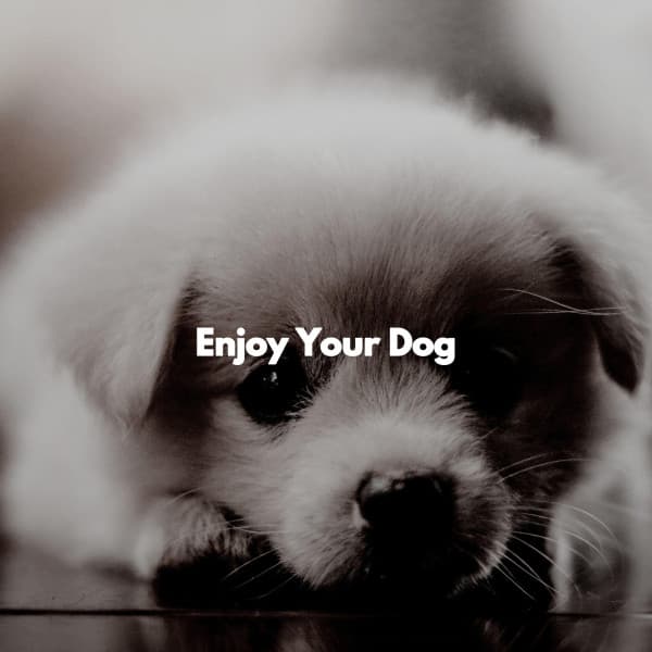 Enjoy Your Dog - Jazz for Working