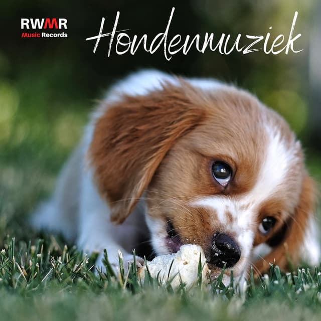 RW Anti-angstmuziek