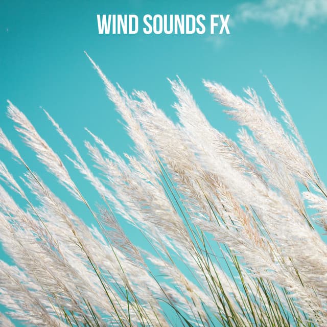 Wind Sounds FX - Nature Chillout