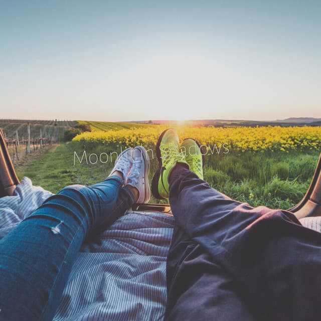 Moonlit in Shadows - Cosmic Thought