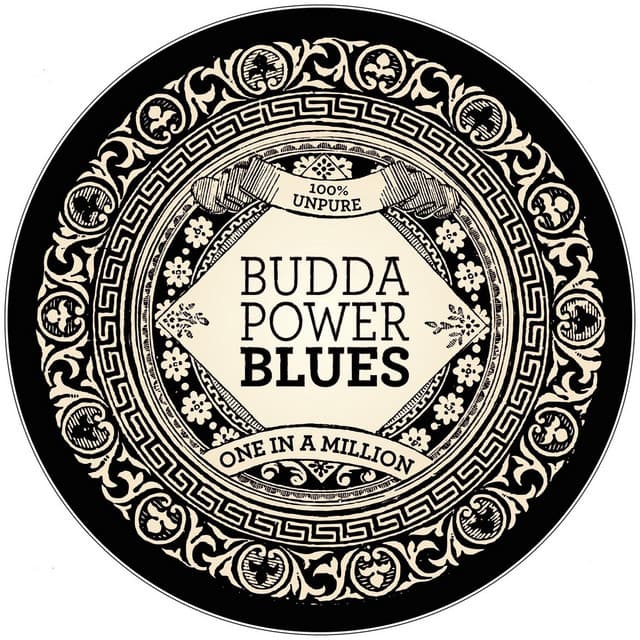 One in a Million - Budda Power Blues