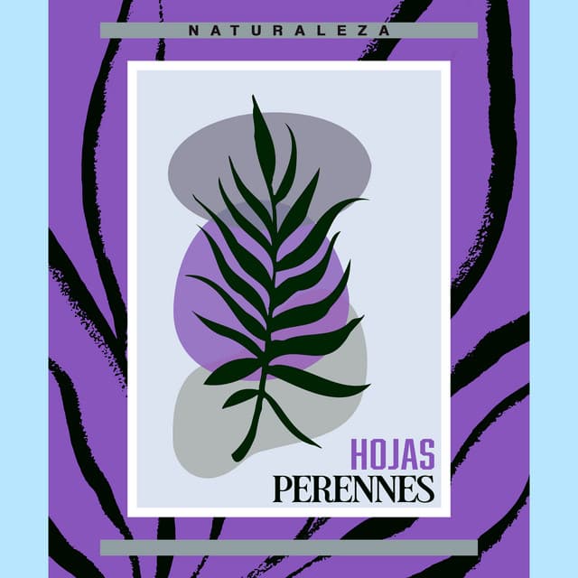 Hojas perennes - Naturaleza