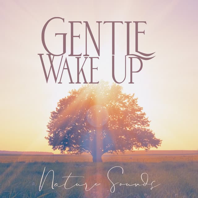 Healing Ocean Waves Zone