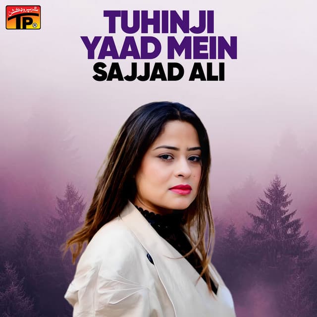 Tuhinji Yaad Mein - Sajjad Ali