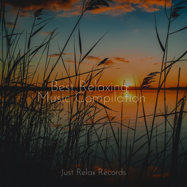 Best Relaxing Music Compilation - MÚSICA PARA NIÑOS