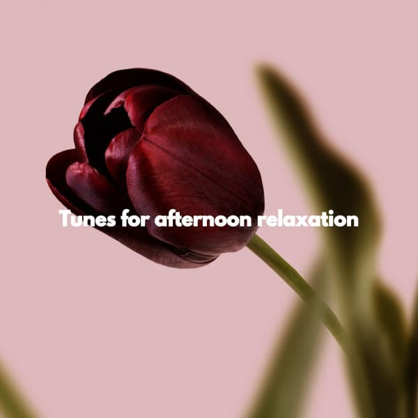Tunes for afternoon relaxation - Evening Jazz Relaxation