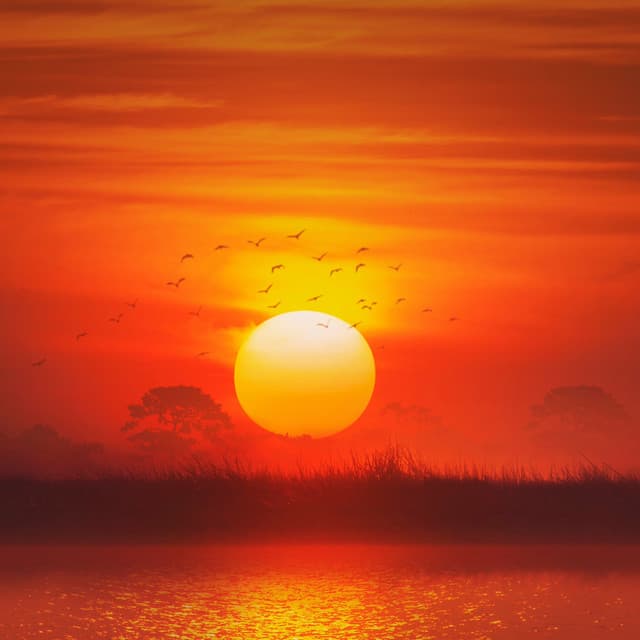 Quiet Moments: Tranquil Evening Tunes - Calm Music