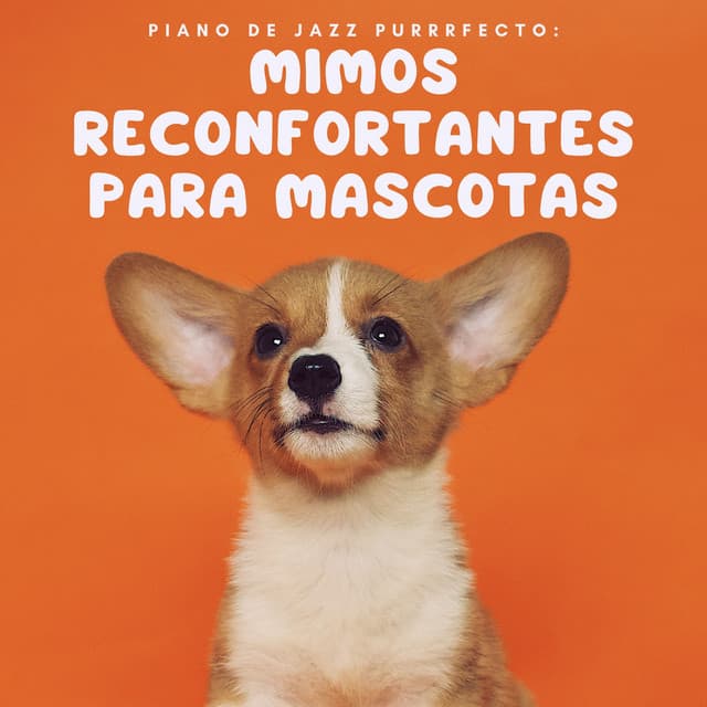 Piano De Jazz Purrrfecto: Mimos Reconfortantes Para Mascotas - Consorte de música de piano relajante