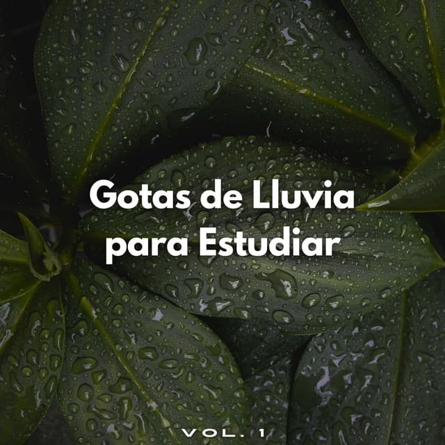 Gotas De Lluvia Para Estudiar Vol. 1 - Estudio de sonidos de lluvia
